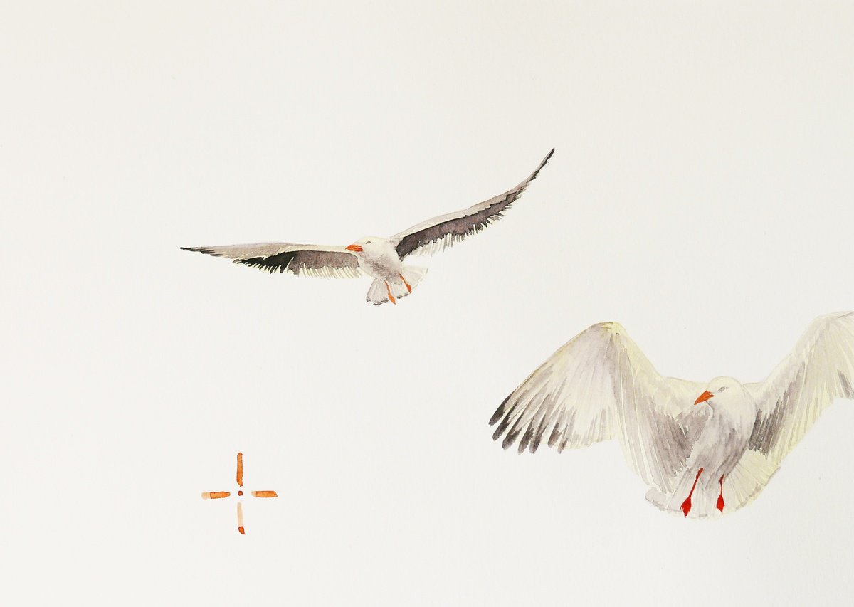 Two gulls scared sketch (5/5) by Karina Danylchuk