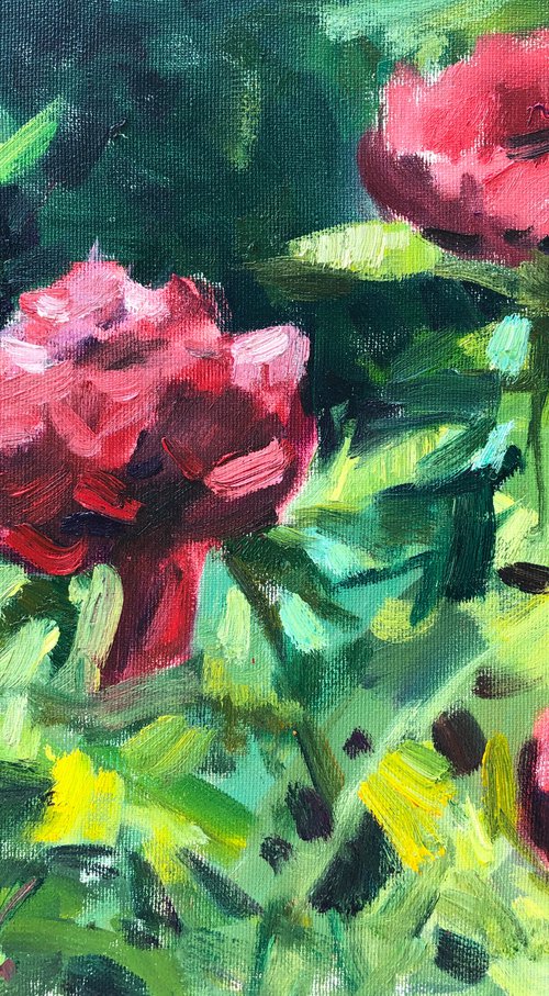 Red peonies by Nataliia Nosyk