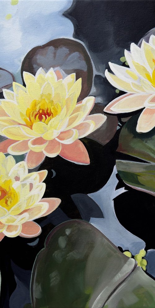 Bright Yellow Waterlillies by Joseph Lynch