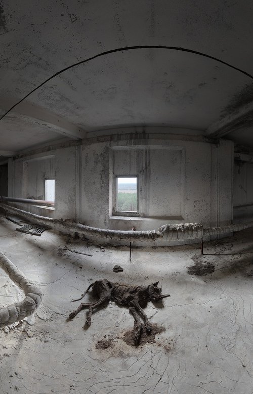 #48. Pripyat. Dog mummy by Stanislav Vederskyi