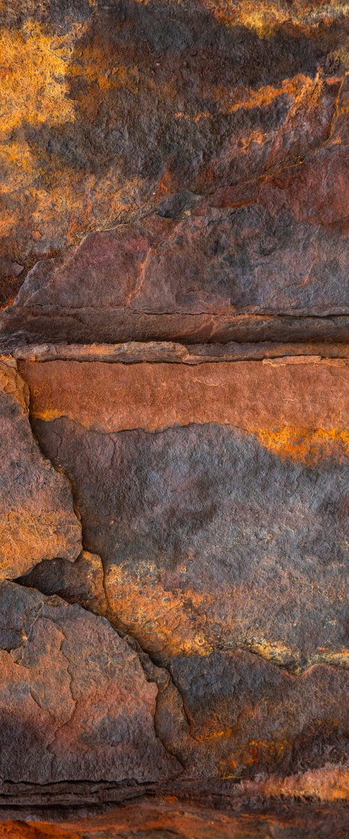 Rust 4 by Maciej Jabkowski