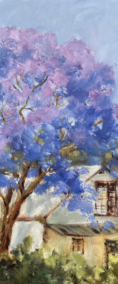 Jacaranda plein air from the balcony by Shelly Du