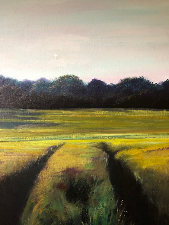 Westfield June Copse 1
