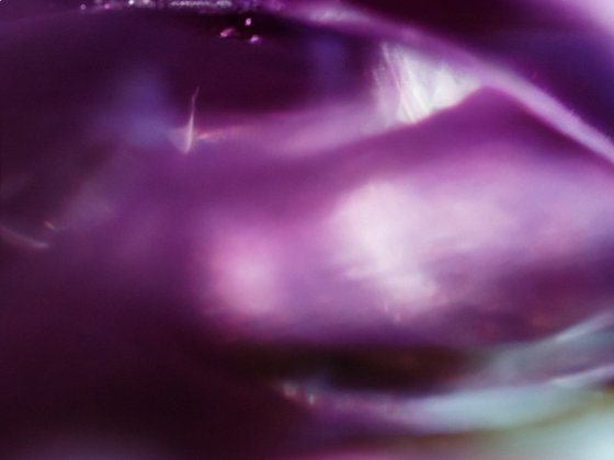 Onion Planet Dreamy Landscapes