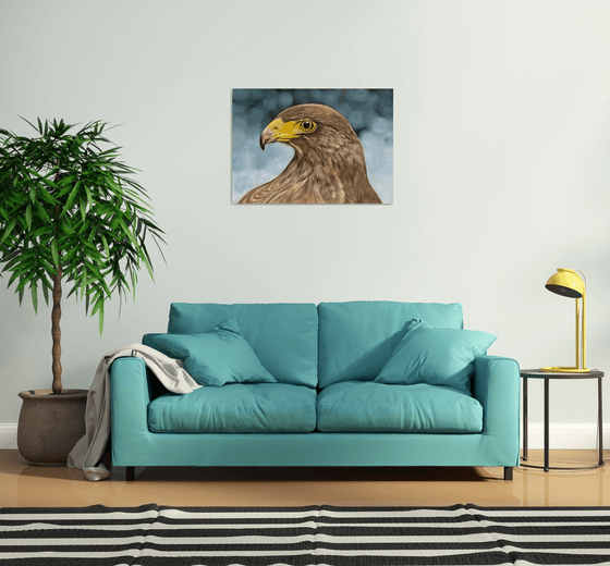 Golden eagle