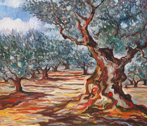 Olive Grove