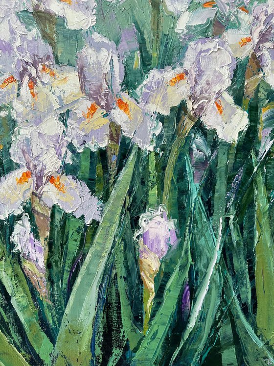 Irises 70x80cm