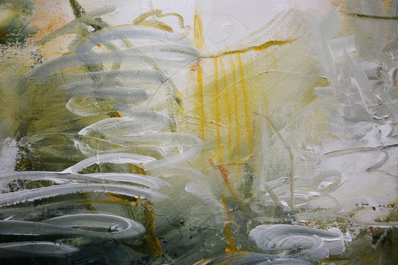 Murmurs of the Water Lily