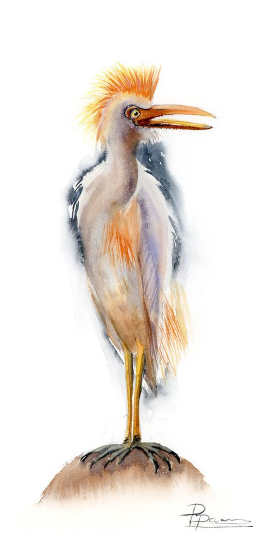Cattle Egret ORIGINAL Watercolor Painting