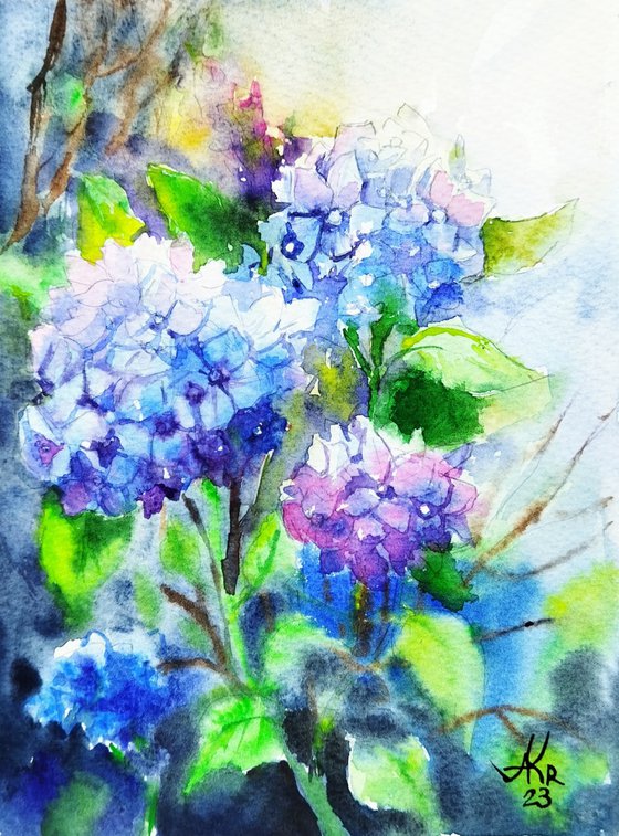 Hydrangeas flowers