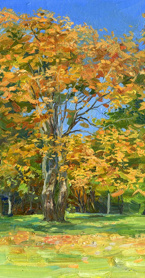 Autumn leaves by Simon Kozhin