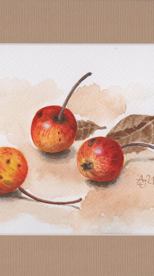 Autumn - Wild apples 1 by Jolanta Czarnecka