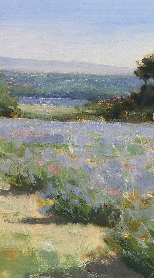 Lavender Field near Taulignan by Pascal Giroud