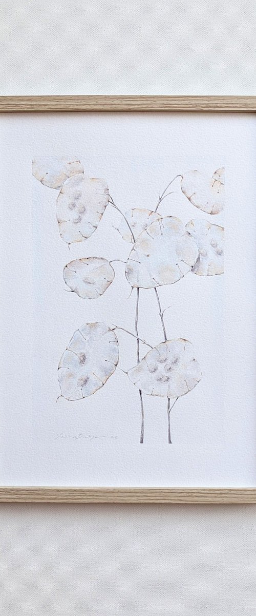 Lunaria by Yana Dulger