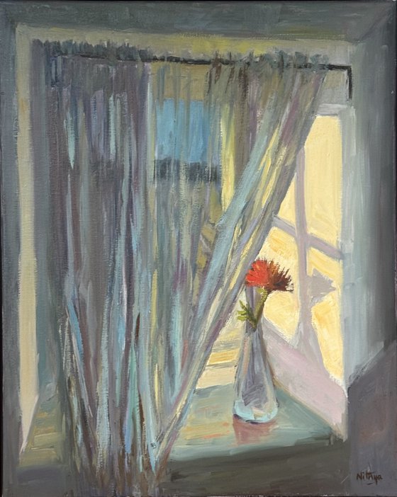 Rose by the window