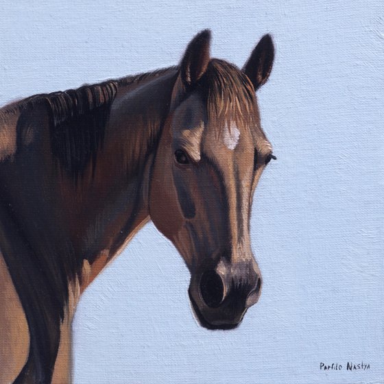 Horse Portrait 32