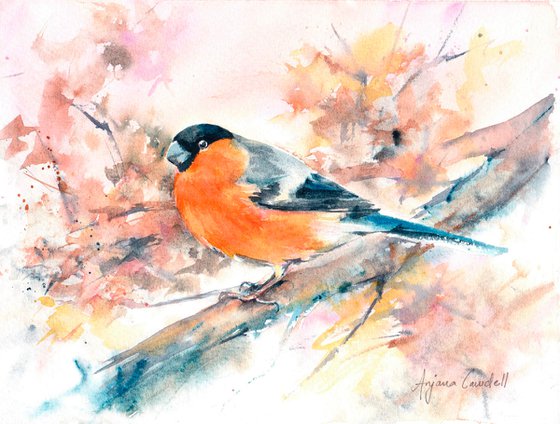 Bullfinch painting, Bullfinch in watercolour, Original Watercolour Bird painting