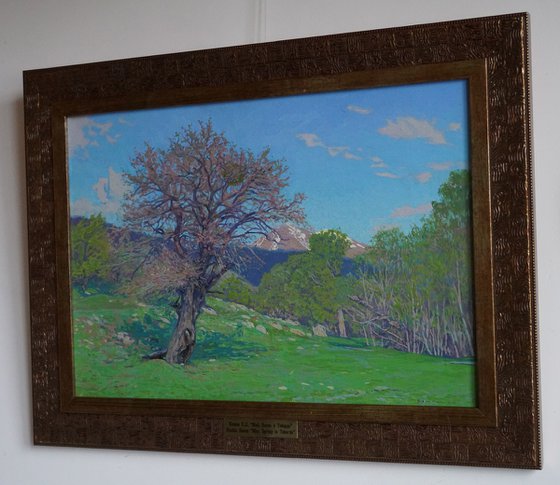 May. Spring in Teberda