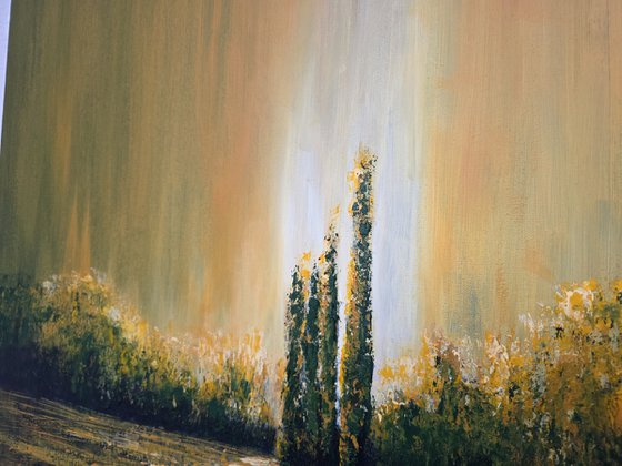 Autumn Illuminations