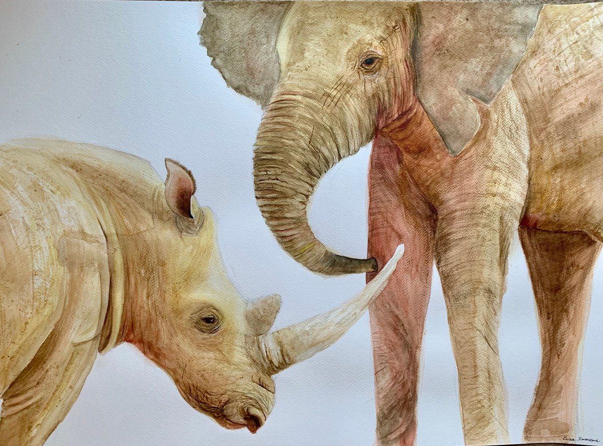 Friends, elephant and rhino by Lucia Kasardova