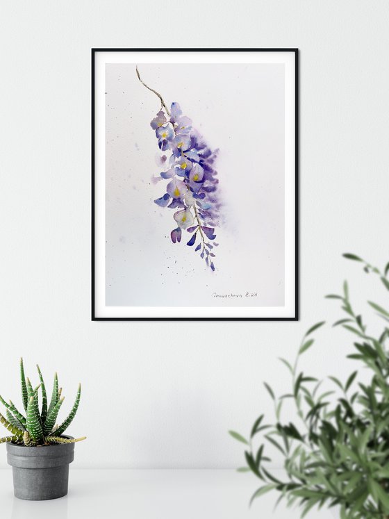 Wisteria #3