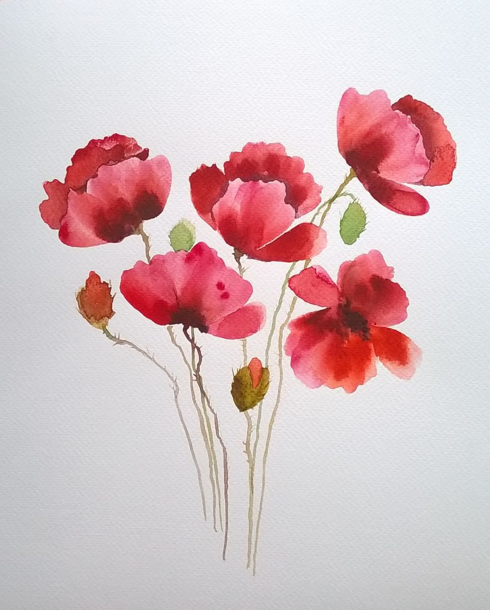 poppies flowers by Barbara Mazur