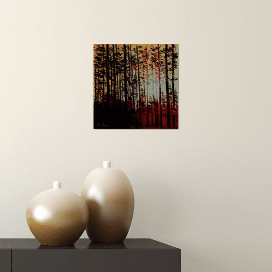 Sunset in the forest