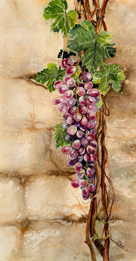 Whispers Through the Wall – Grapevine