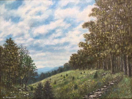 HIGH MEADOW with Pine Seedlings - oil 15X20