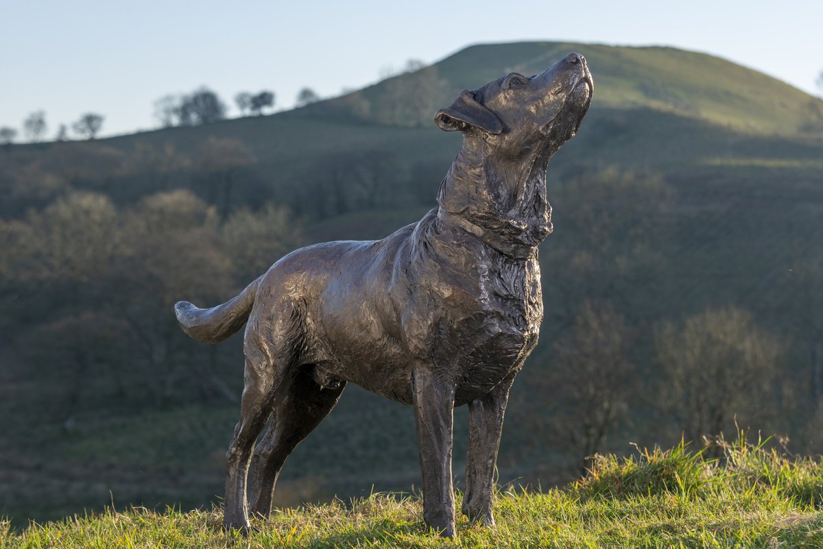 Leo Labrador Bronze Resin by Tanya Russell