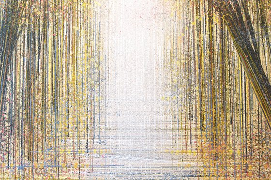 Forest Path In Warm Evening Light