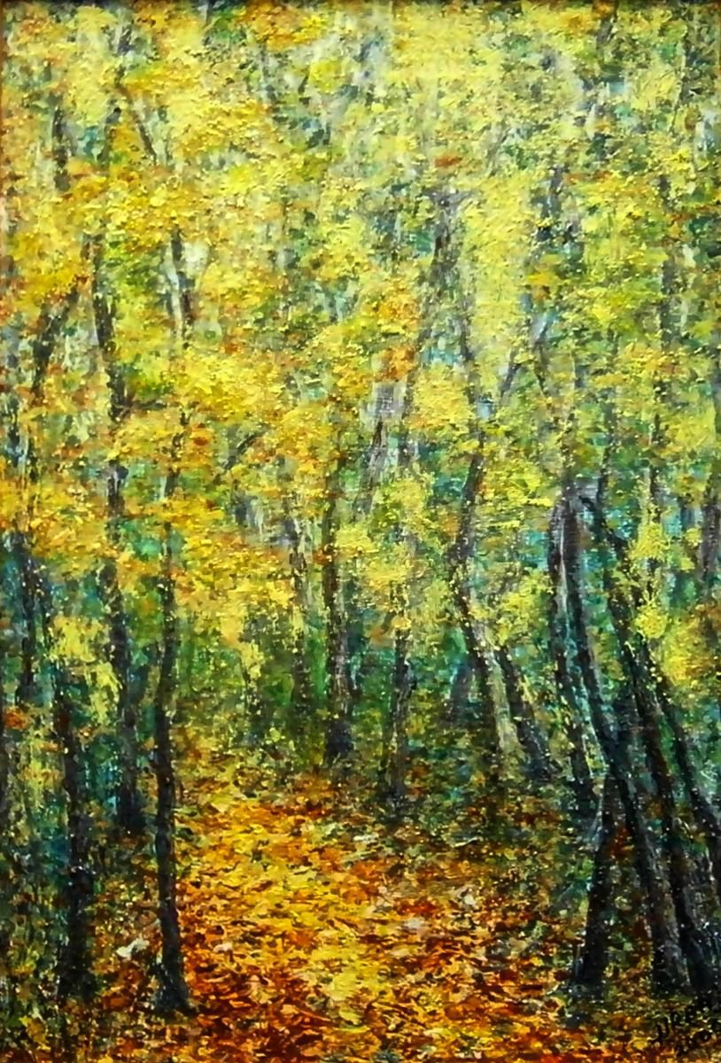 Autumn in forest.. by Em�lia Urban�kov�