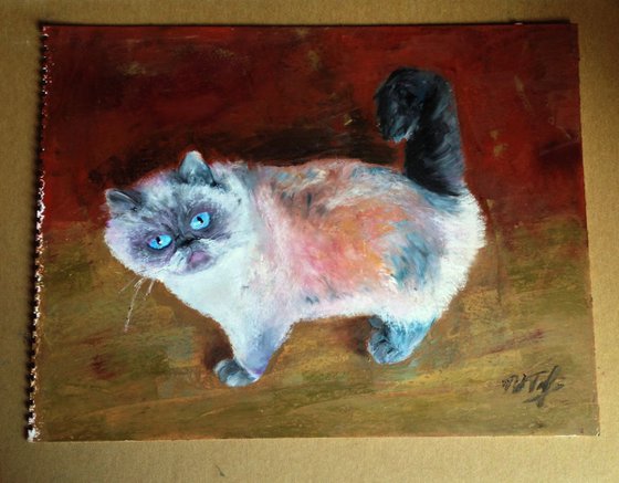 What's up? Oil Pastel Animal Cats Portrait.