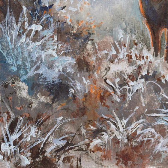 ‘Winter magic’