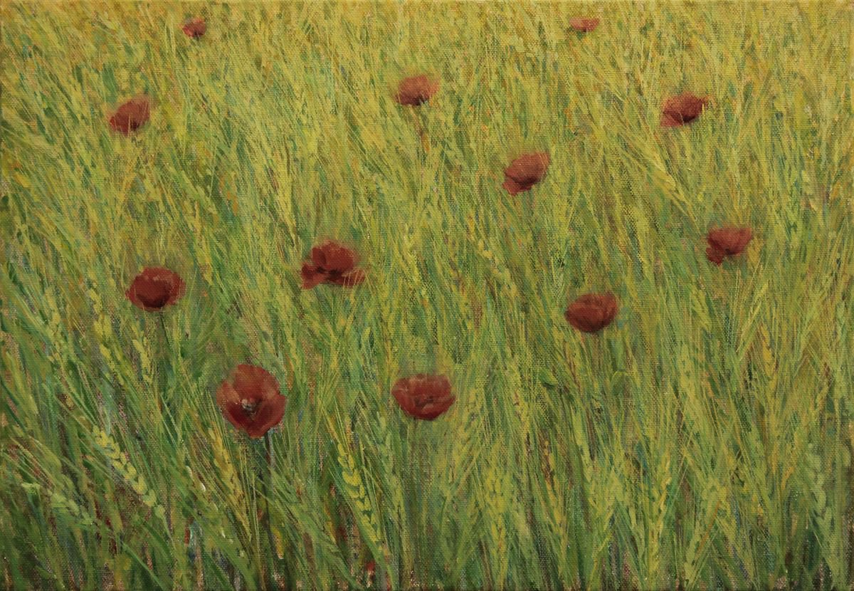 Maki v �itnem polju I - Poppies in the Cereal Field I, 2019, acrylic on canvas, 35 x 50 cm by Alenka Koderman