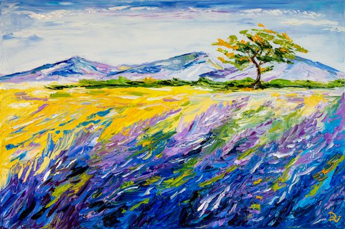 Provence landscape by Vladyslav Durniev