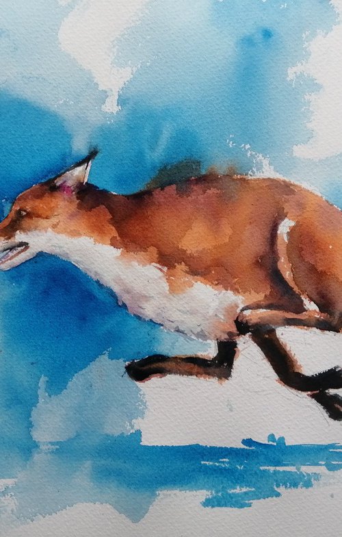 fox 11 by Giorgio Gosti