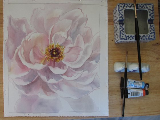 soft pink peony watercolor