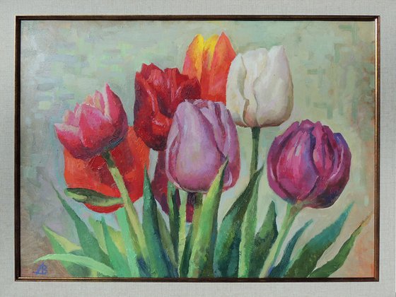 "Tulip colors"