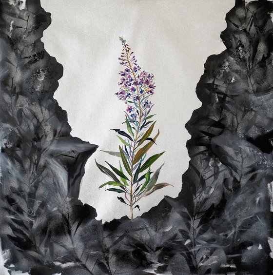 Fireweed