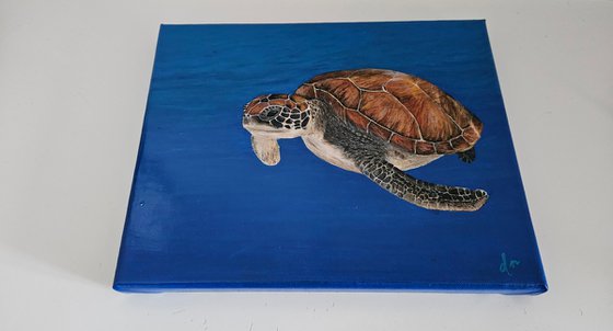 Seaturtle