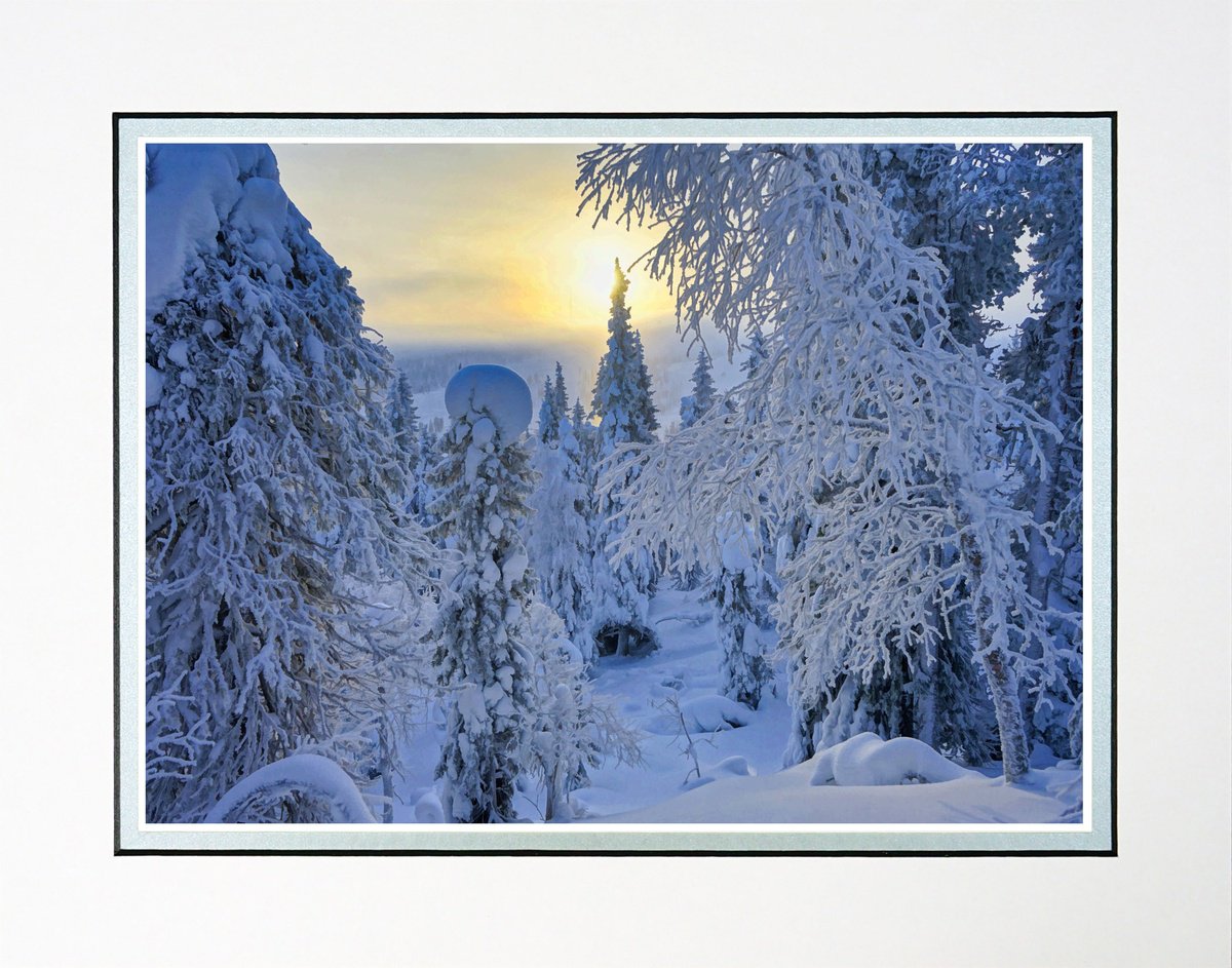Photorealistic Landscape Photograph By Robin Clarke, 14 X 11", Finland Snow Forest Five, Original Artwork