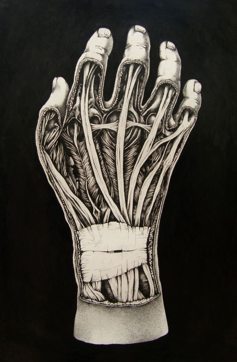 The Hand by Katarzyna Sliwa