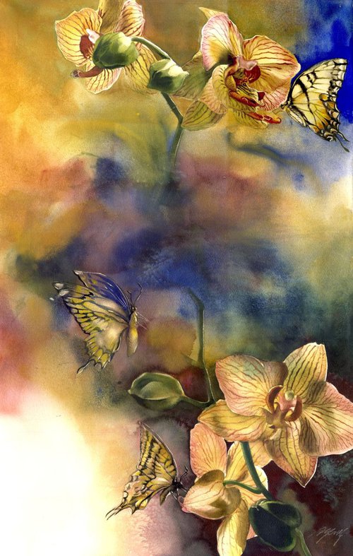 Butterflies with orchid by Alfred  Ng
