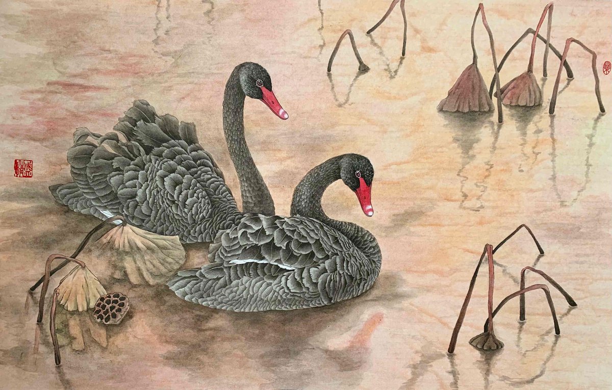 Black Swan, Original Gongbi Brush Painting by Fiona Sheng