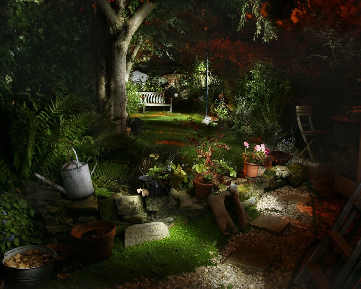 Sues Garden by Roger Morgan