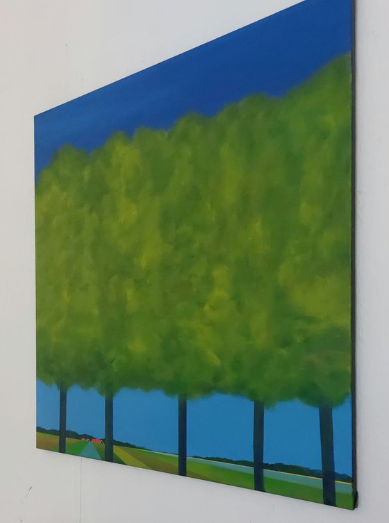 Trees in the polder