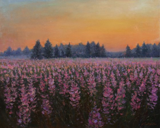 Sunset over the purple flowers - summer painting