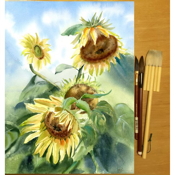 Sunflowers