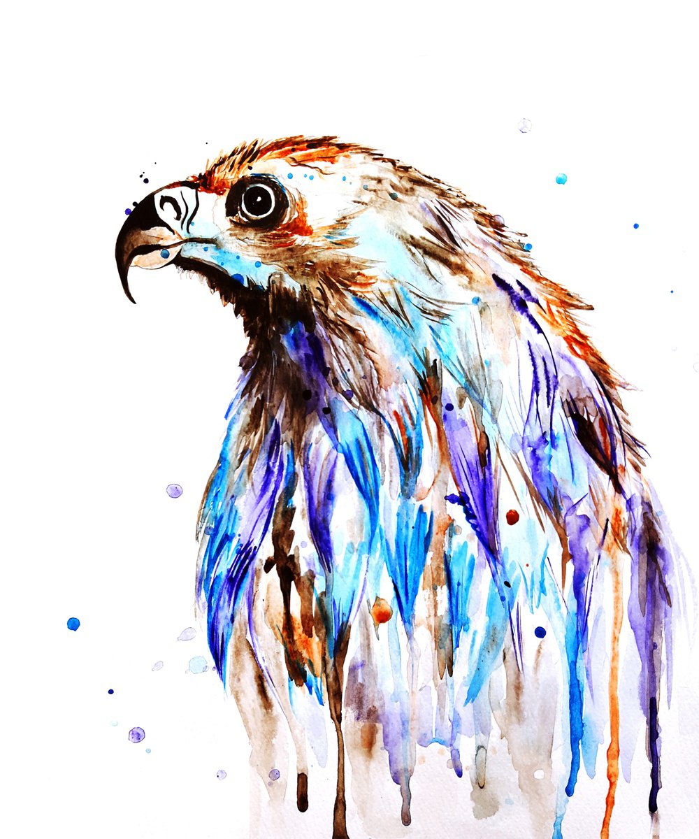 Impressionistic Watercolour , Eagle By Luba Ostroushko, 14 X 16, Artwork For Sale On Artfinder